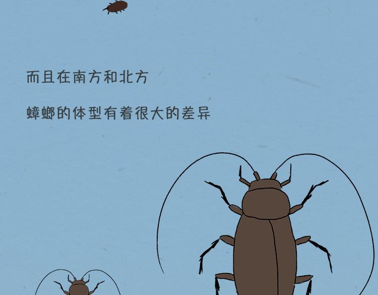 《小鸡星球》大螂该吃药了 第7页