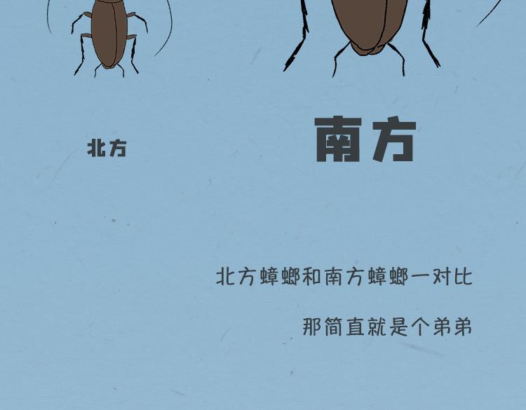 《小鸡星球》大螂该吃药了 第8页