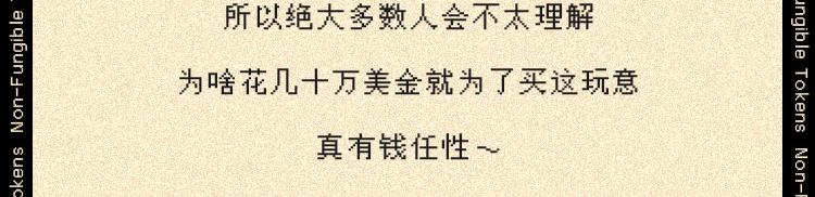 《小鸡星球》NFT？我不配 第17页