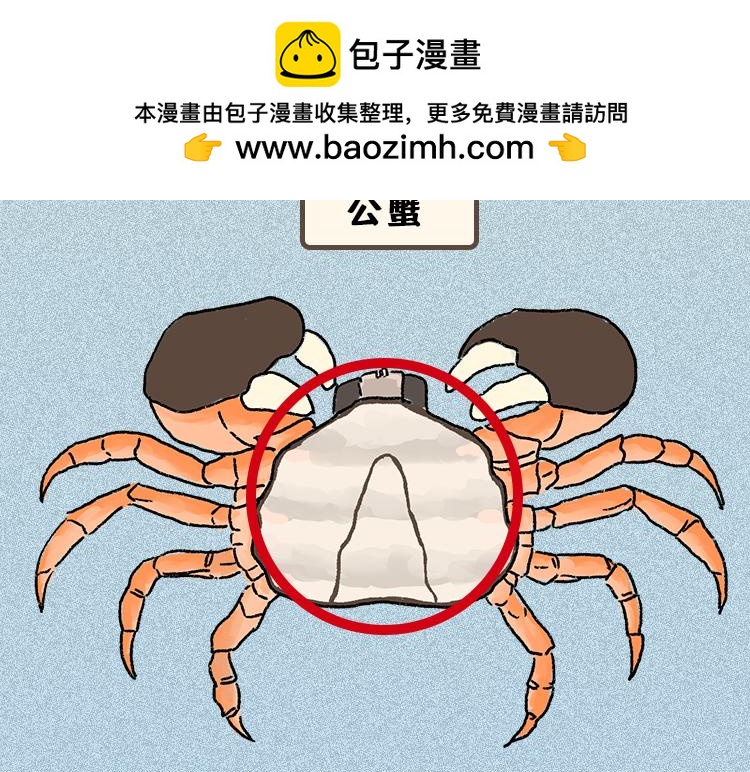 《小鸡星球》做一个会吃螃蟹的人 第10页