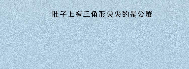 《小鸡星球》做一个会吃螃蟹的人 第11页