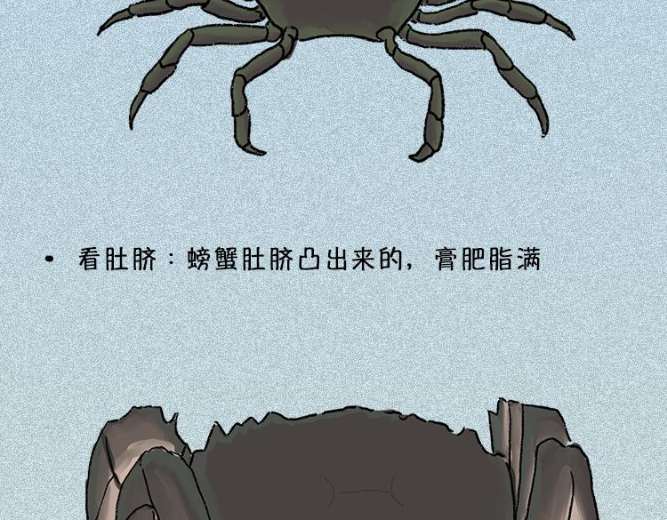 《小鸡星球》做一个会吃螃蟹的人 第13页