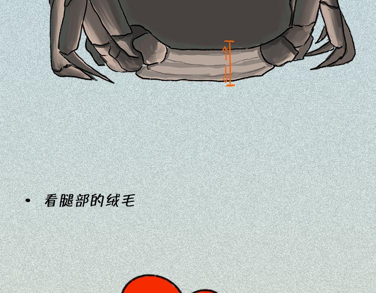 《小鸡星球》做一个会吃螃蟹的人 第14页