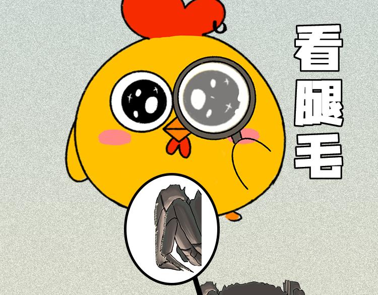 《小鸡星球》做一个会吃螃蟹的人 第15页