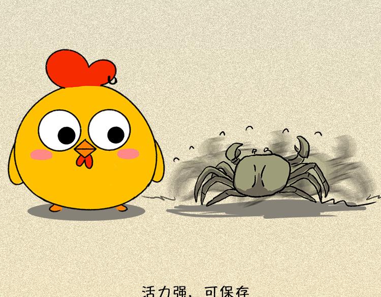 《小鸡星球》做一个会吃螃蟹的人 第17页