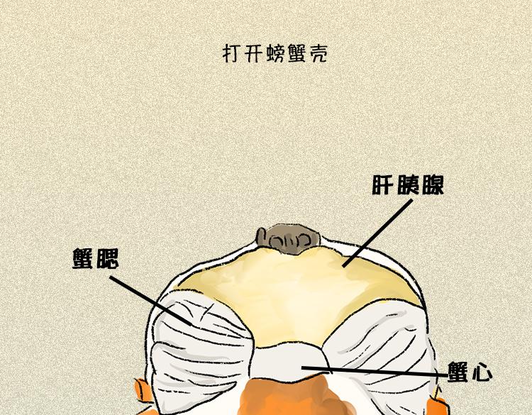 《小鸡星球》做一个会吃螃蟹的人 第28页