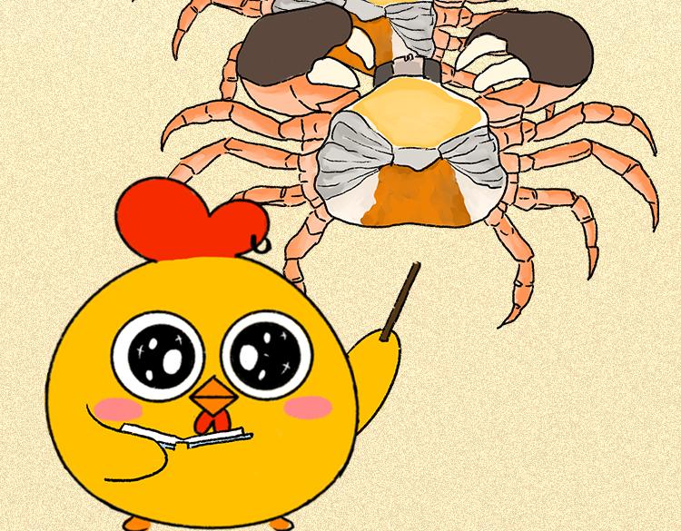 《小鸡星球》做一个会吃螃蟹的人 第3页