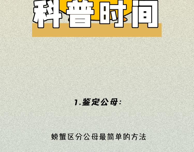 《小鸡星球》做一个会吃螃蟹的人 第7页