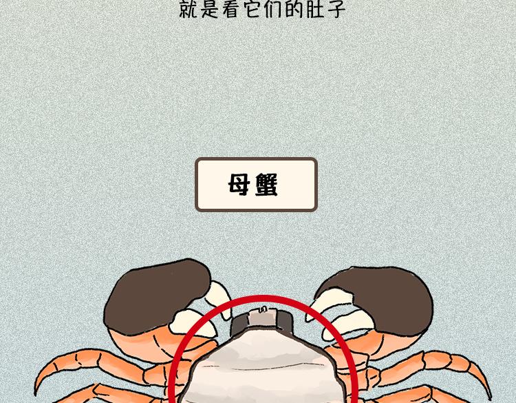 《小鸡星球》做一个会吃螃蟹的人 第8页