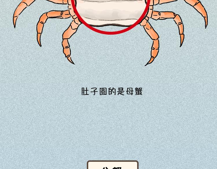 《小鸡星球》做一个会吃螃蟹的人 第9页