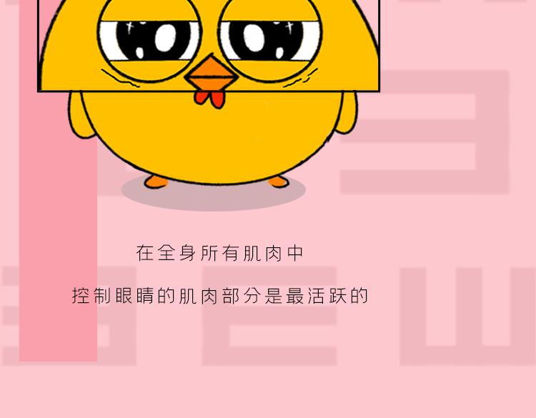 《小鸡星球》你是我的眼 第11页