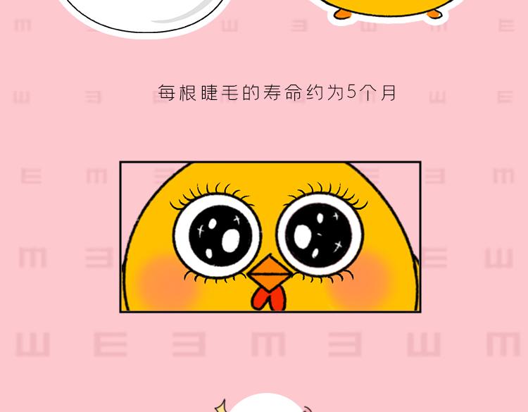 《小鸡星球》你是我的眼 第14页