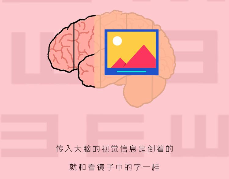 《小鸡星球》你是我的眼 第20页