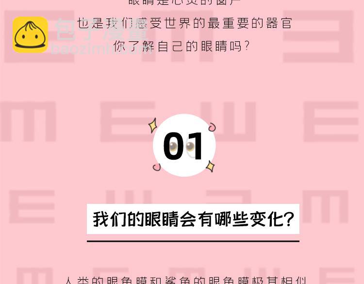 《小鸡星球》你是我的眼 第3页