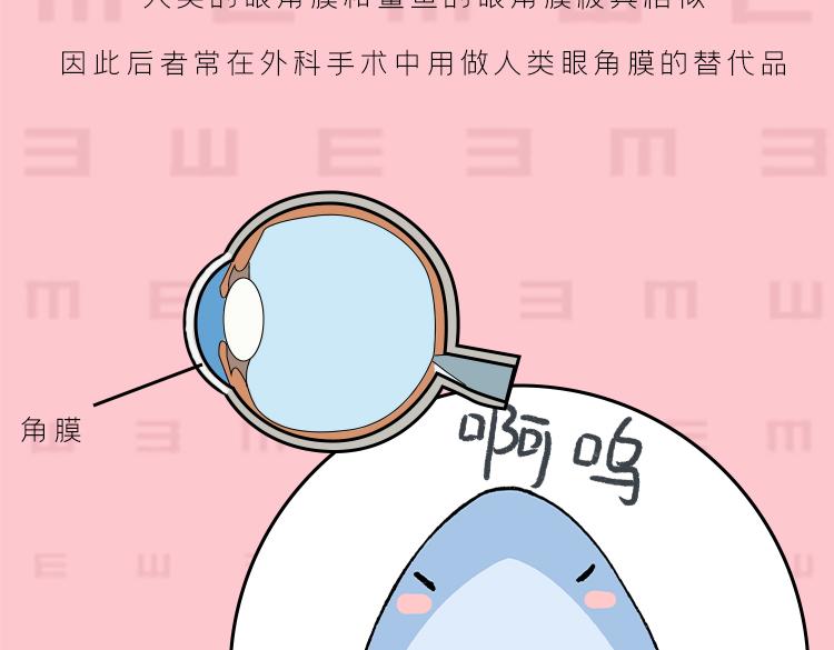 《小鸡星球》你是我的眼 第4页