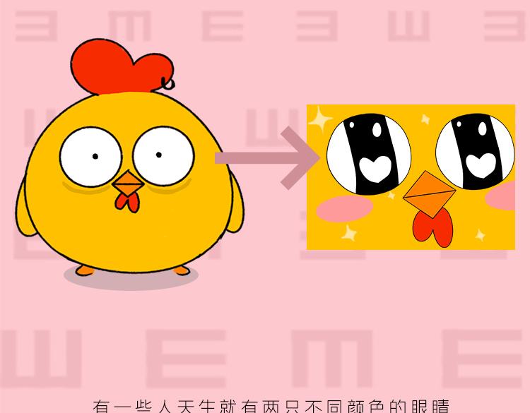 《小鸡星球》你是我的眼 第6页