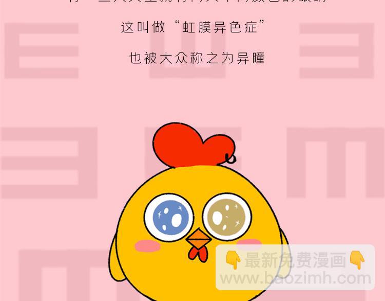 《小鸡星球》你是我的眼 第7页