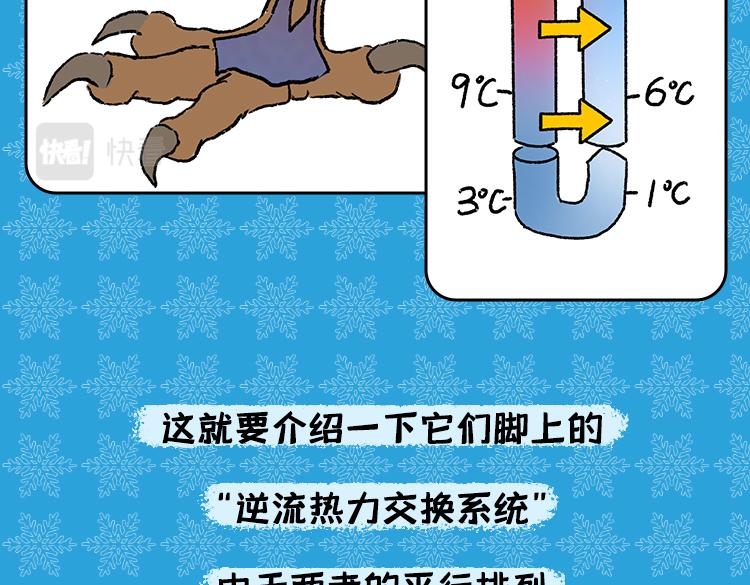 《小鸡星球》保暖秘籍 第10页