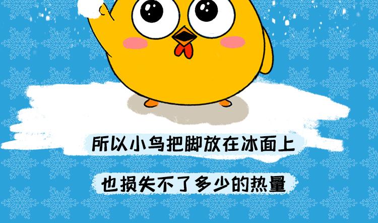 《小鸡星球》保暖秘籍 第12页