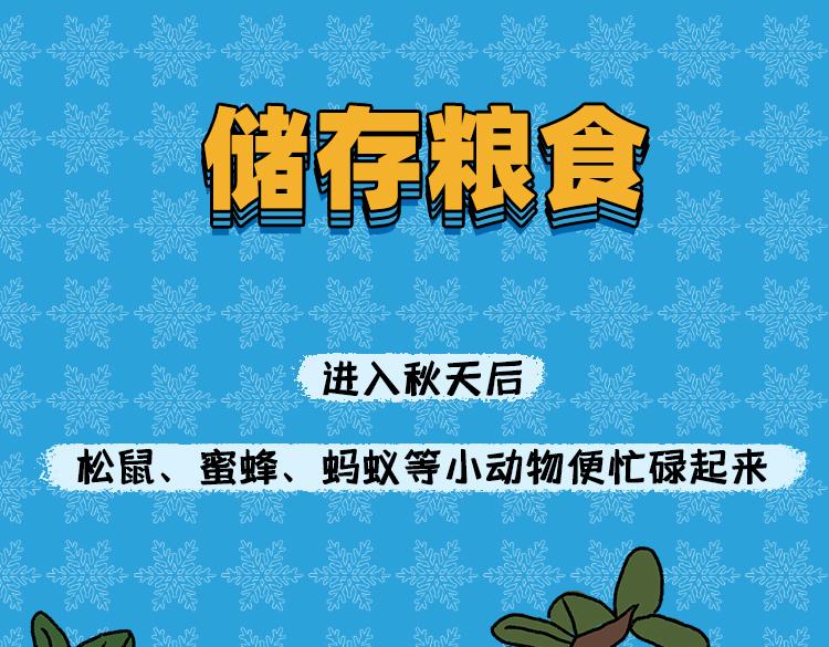 《小鸡星球》保暖秘籍 第13页