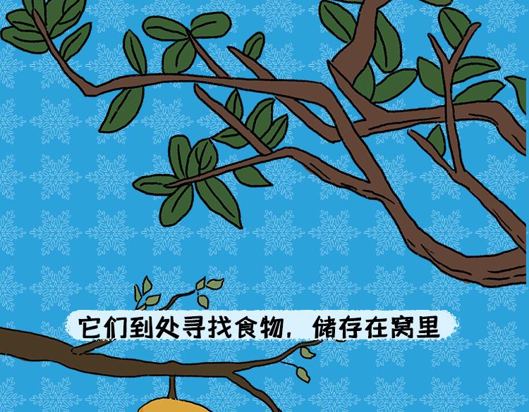 《小鸡星球》保暖秘籍 第14页