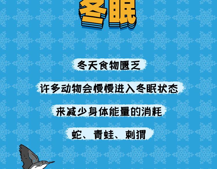 《小鸡星球》保暖秘籍 第20页