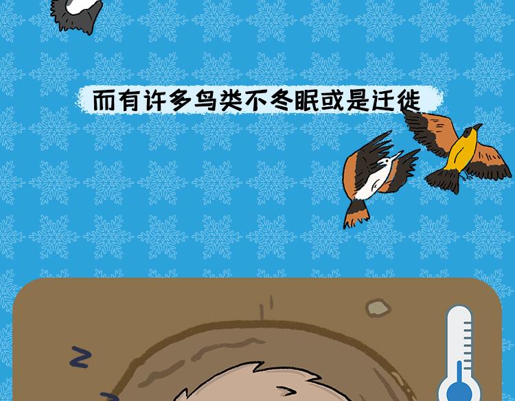 《小鸡星球》保暖秘籍 第21页