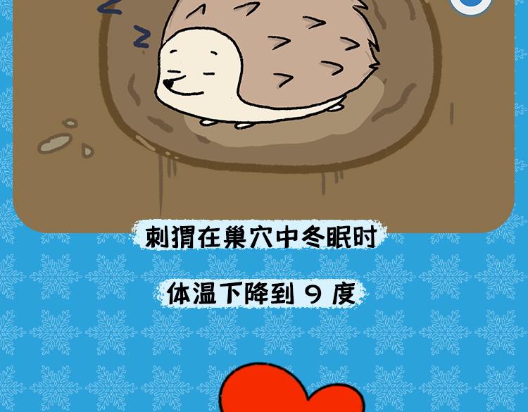 《小鸡星球》保暖秘籍 第22页