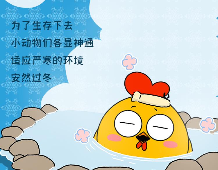 《小鸡星球》保暖秘籍 第3页