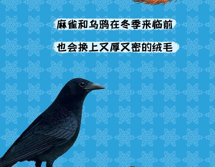 《小鸡星球》保暖秘籍 第7页