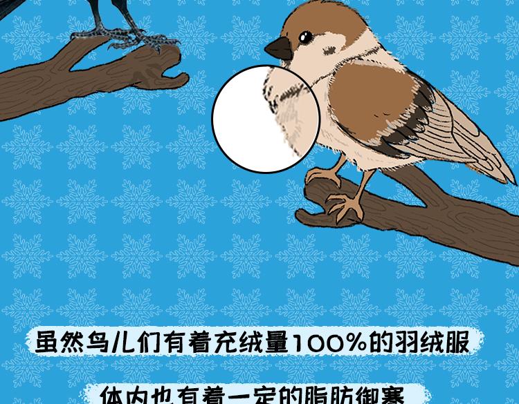 《小鸡星球》保暖秘籍 第8页
