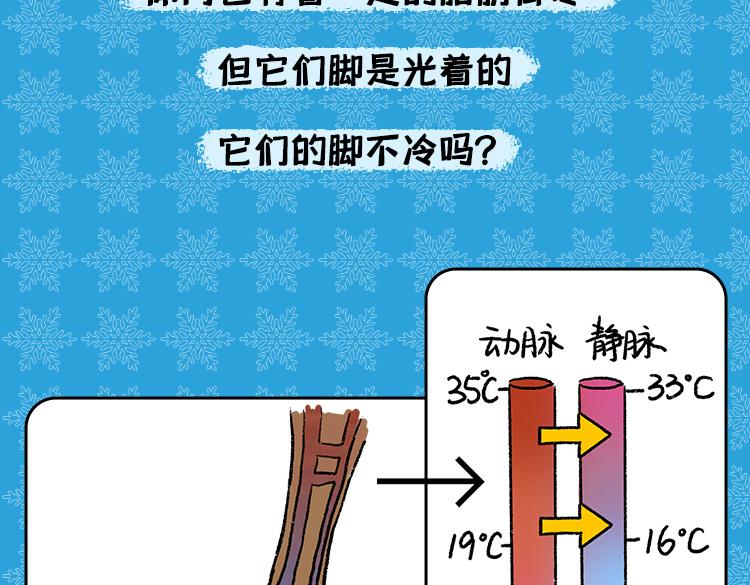 《小鸡星球》保暖秘籍 第9页
