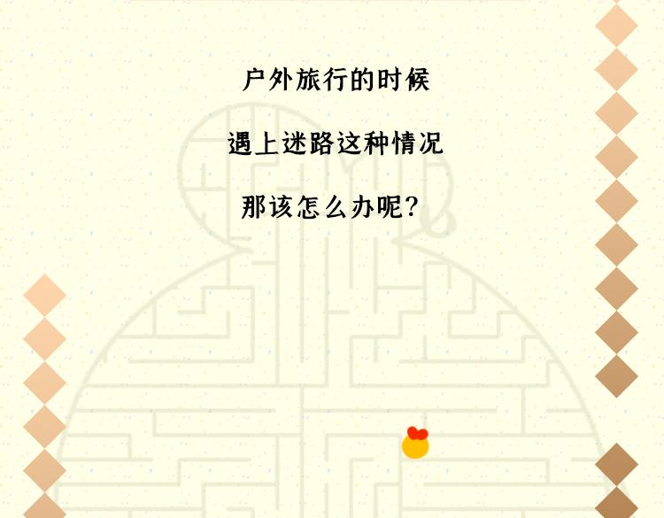 《小鸡星球》世界那么大，我想去看看 第4页