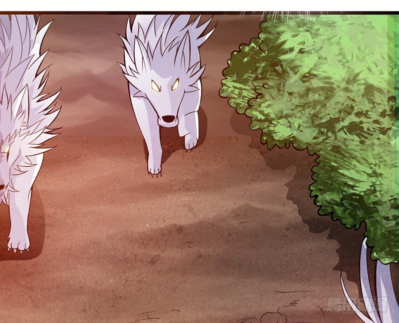 《太古狂魔》40-禁地道府 第11页