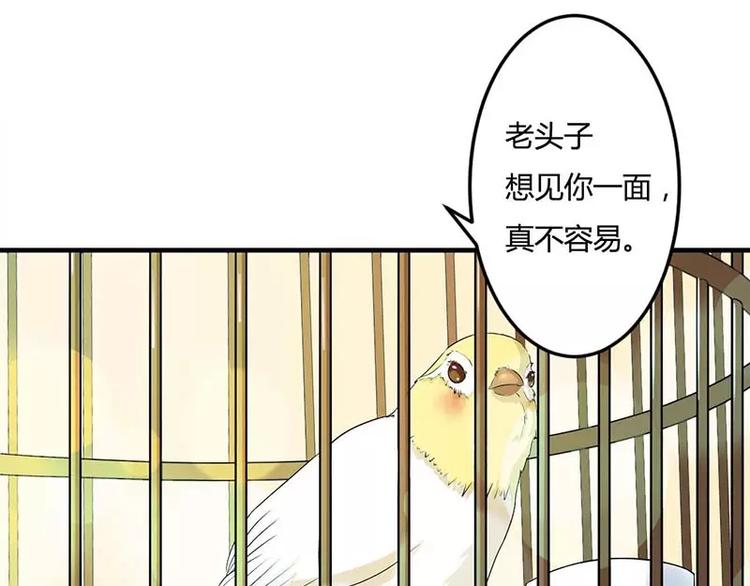 《总裁的蜜宠佳人》第12话 他是脑残 第18页