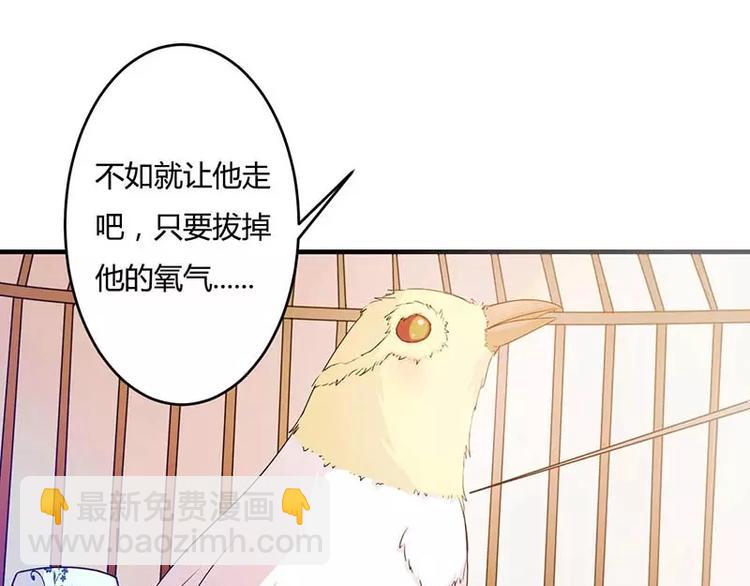 《总裁的蜜宠佳人》第12话 他是脑残 第40页