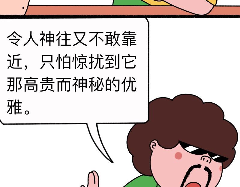 《慢慢日记》慢慢日记（17） 第19页