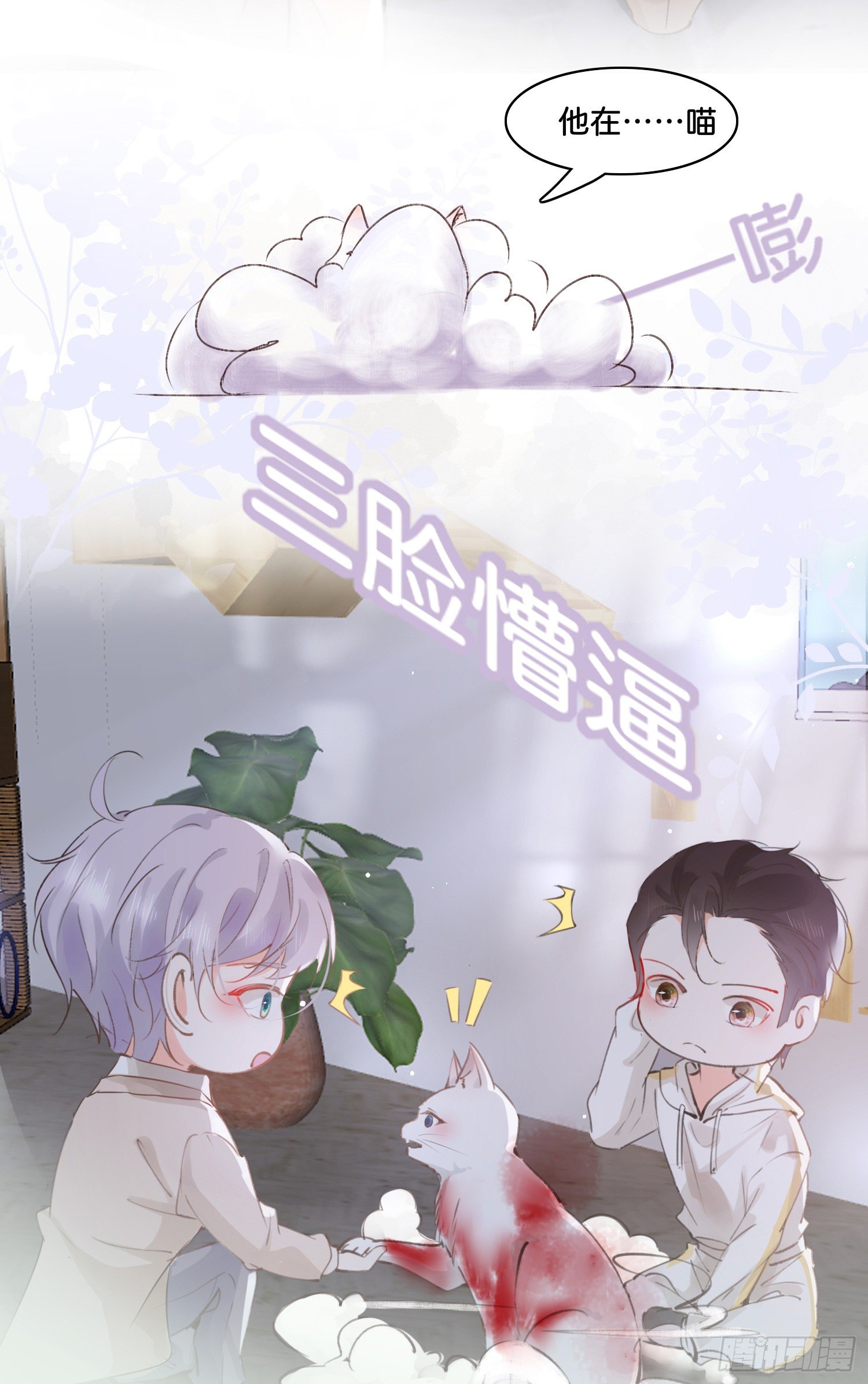 《君心“难测”》第玖话灵猫的诉求四 第6页