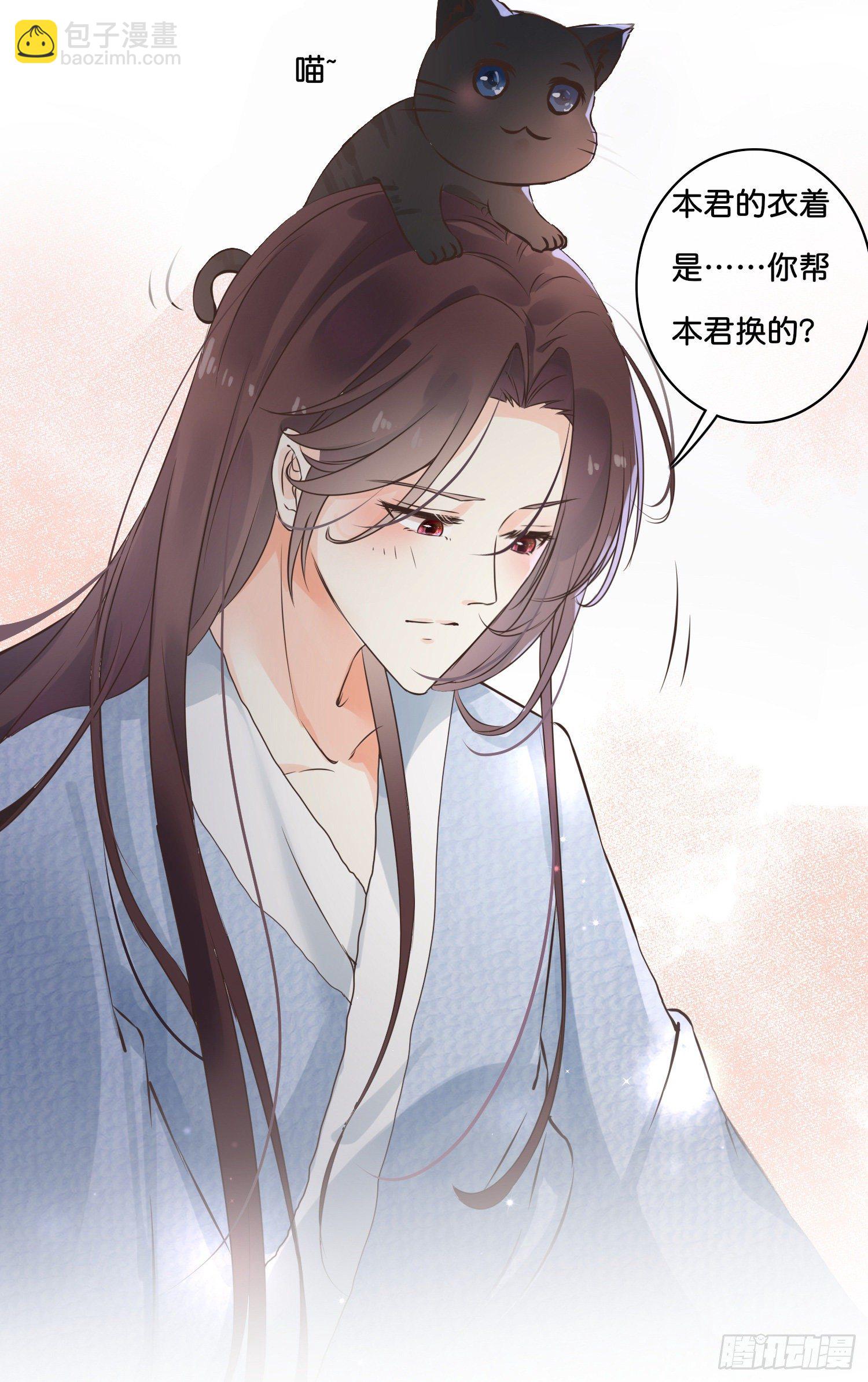 《君心“难测”》第捌话灵猫的诉求（三） 第28页