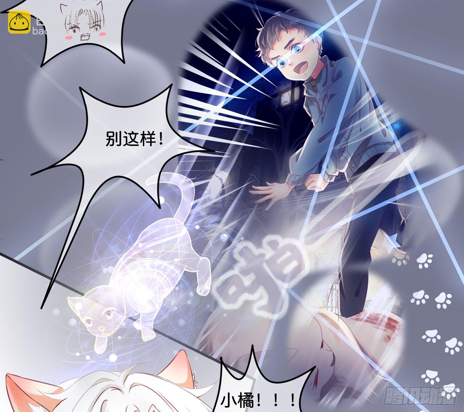《君心“难测”》第拾壹话 灵猫的诉求（六） 第17页