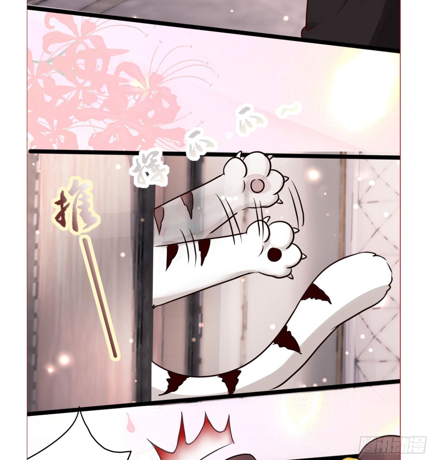 《君心“难测”》第拾壹话 灵猫的诉求（六） 第38页