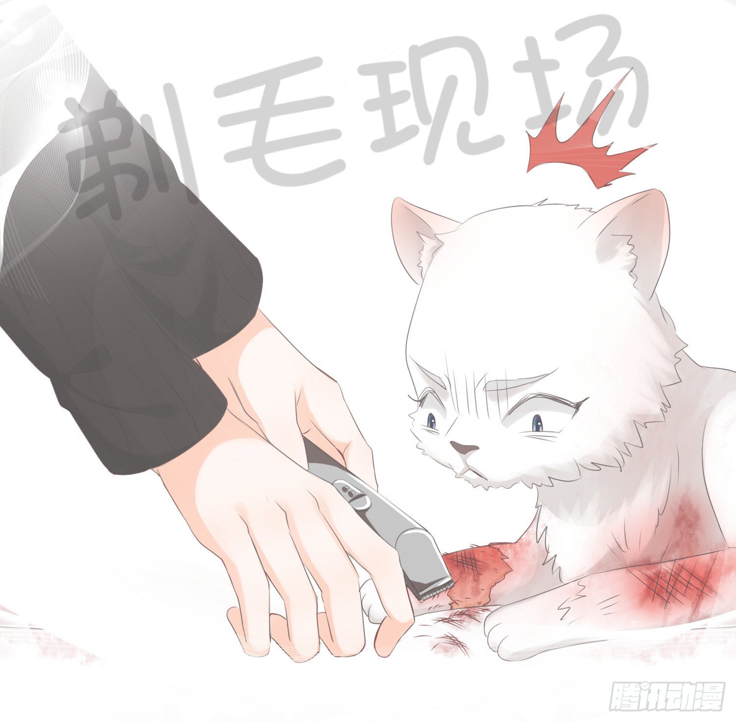 《君心“难测”》第拾壹话 灵猫的诉求（六） 第5页