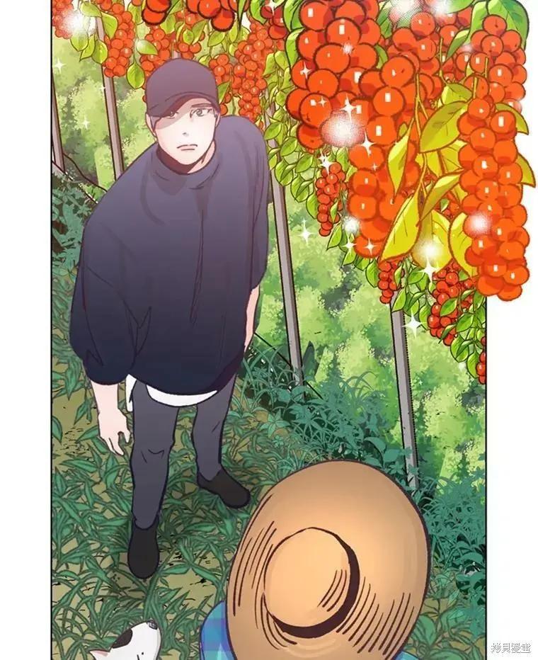 《开往爱情的拖拉机》第32话 第14页
