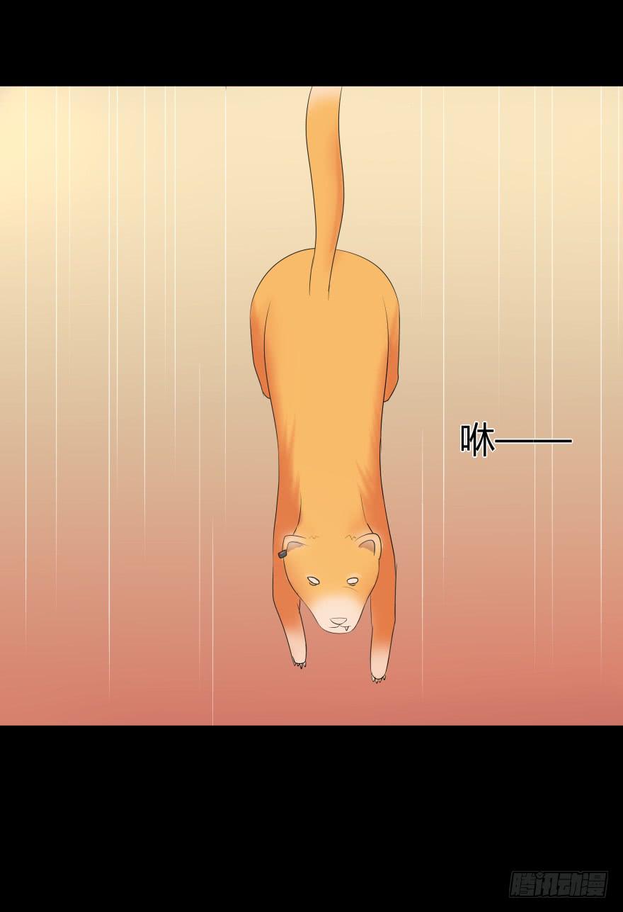 《萌妖当家》巨星登场 第27页