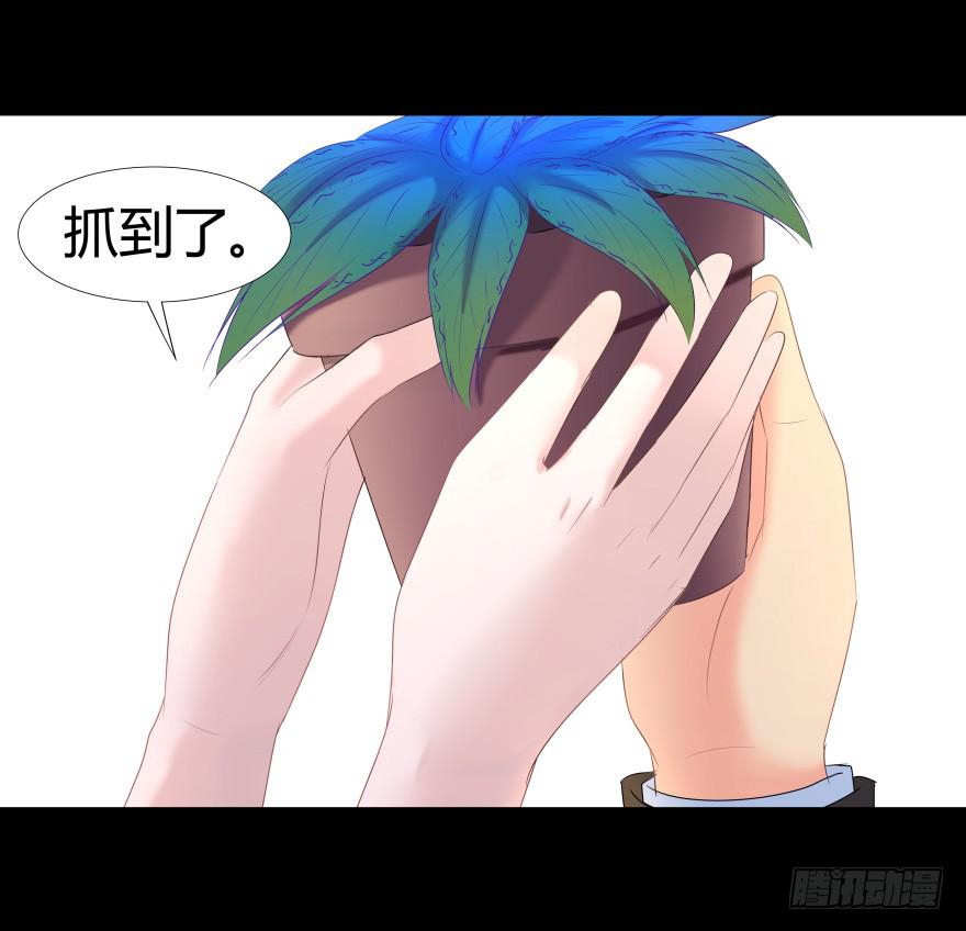 《萌妖当家》巨星登场 第6页