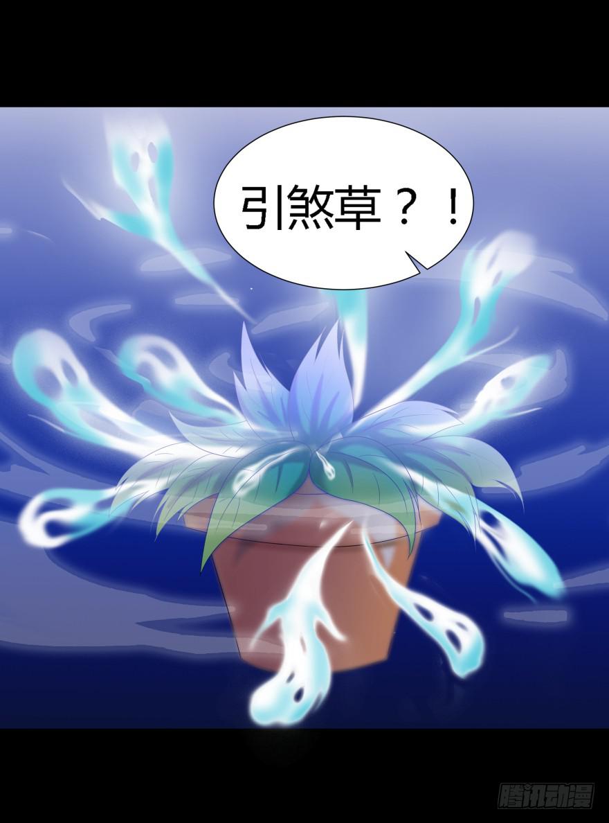 《萌妖当家》幕后的另一只手 第43页