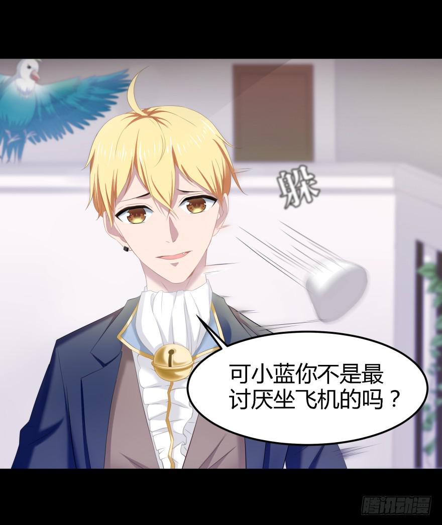 《萌妖当家》幕后的另一只手 第4页