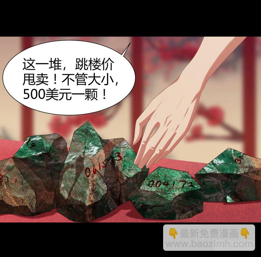 《萌妖当家》米国赌石 第12页