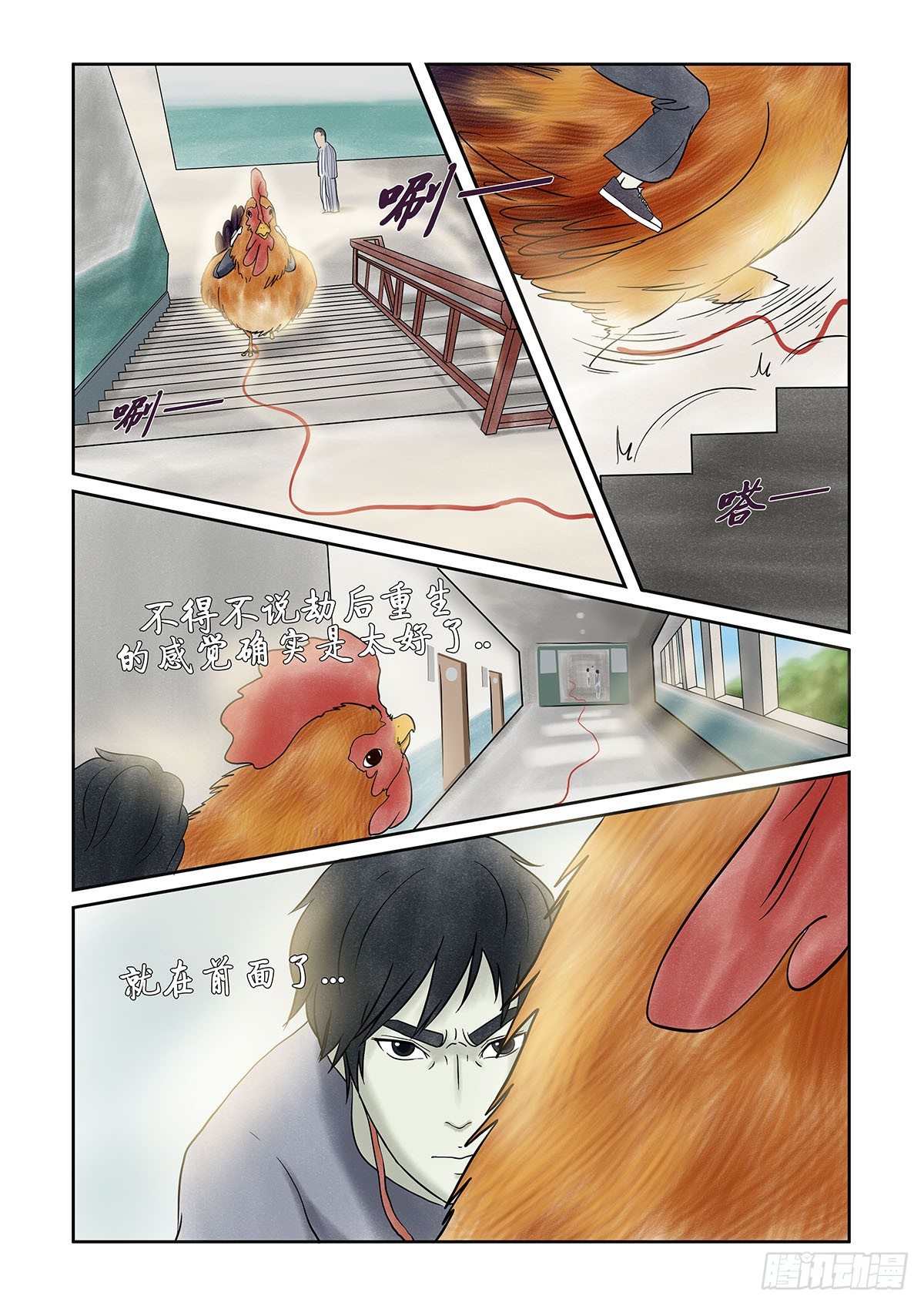 《我当阴阳先生的那几年(金牛座的大白)》第十一章 回魂路上也不太平 第10页