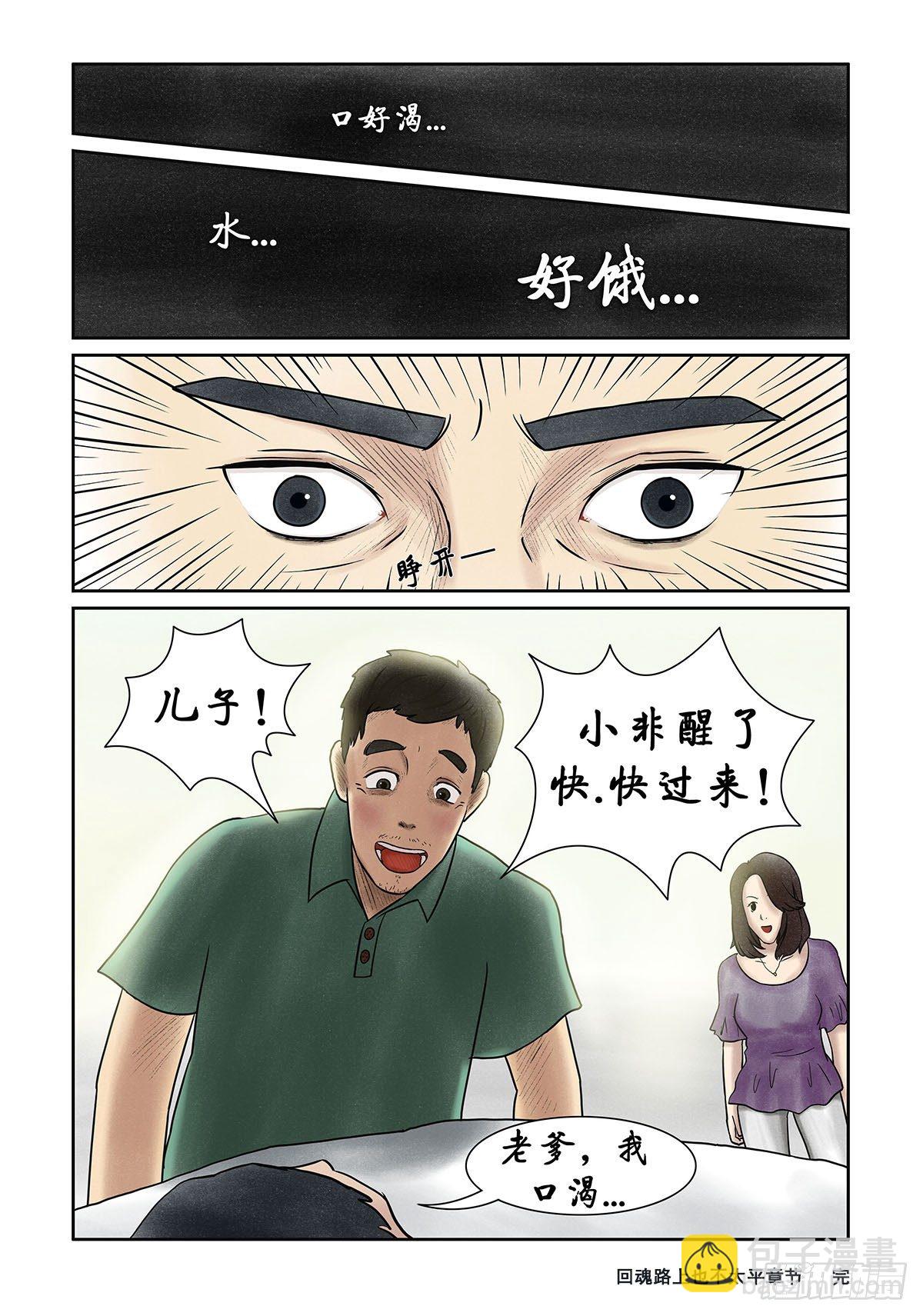 《我当阴阳先生的那几年(金牛座的大白)》第十一章 回魂路上也不太平 第19页